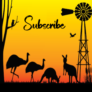 Sandford festival sq subscribe