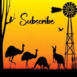 Sandford Festival Sandford festival sq subscribe