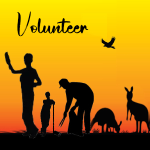Sandford festival sq vols 1